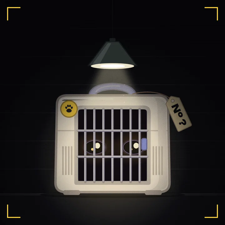 The pre-reveal: a cat carrier under a swinging lamp, two eyes blinking in the dark, a paw trying the door.